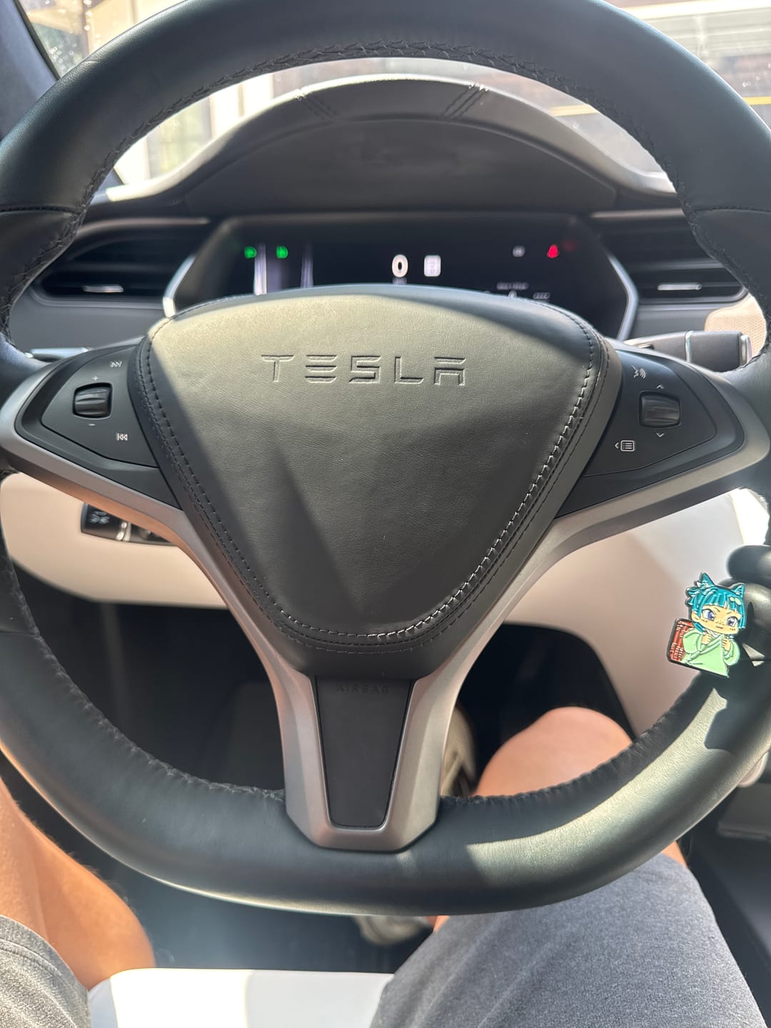 Customer photo review of Custom Airbag Top Cover for Tesla Model S & Model X 2012-2021