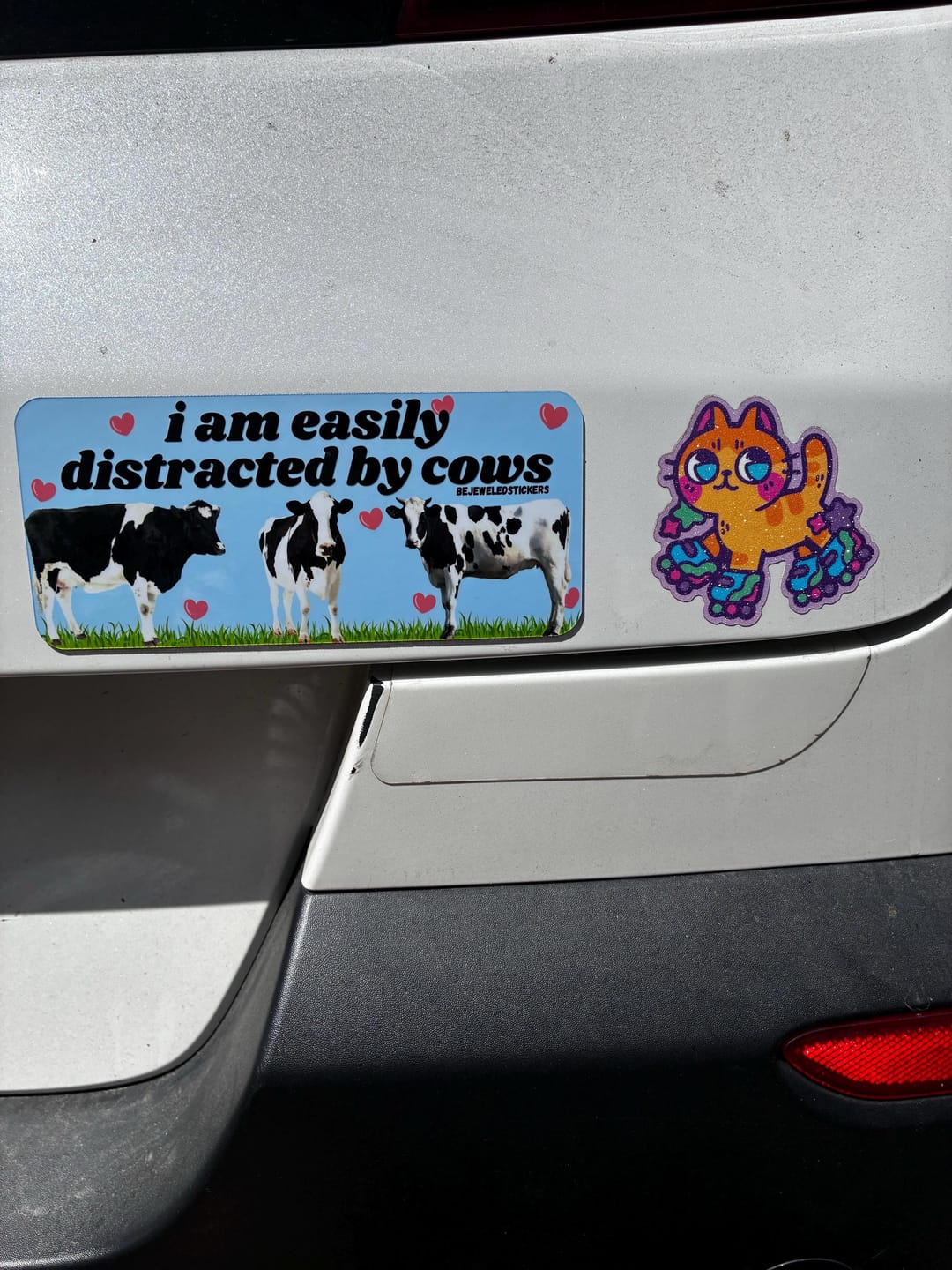 Customer photo review of I am easily distracted by cows