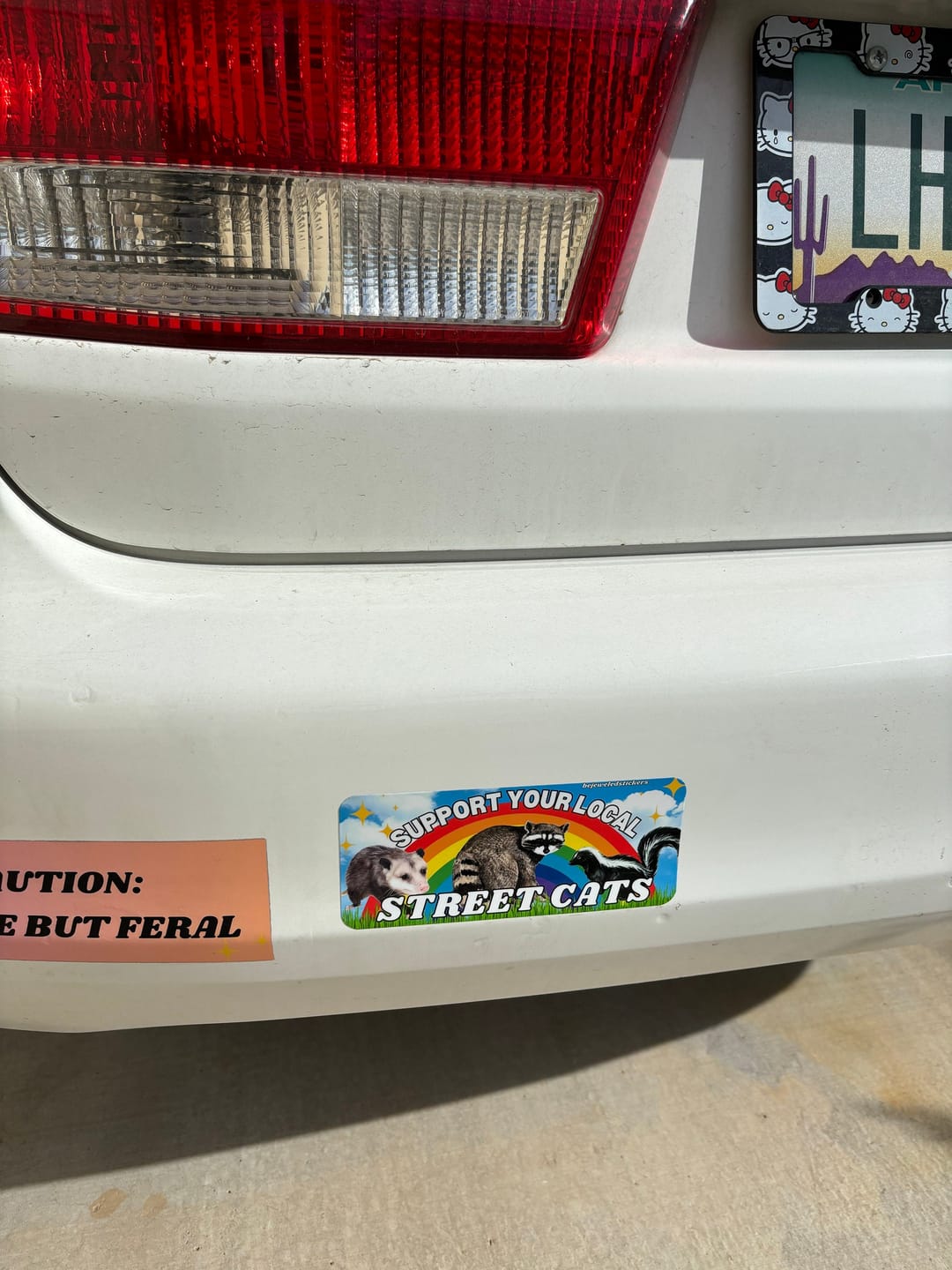 Customer photo review of Support Your Local Street Cats