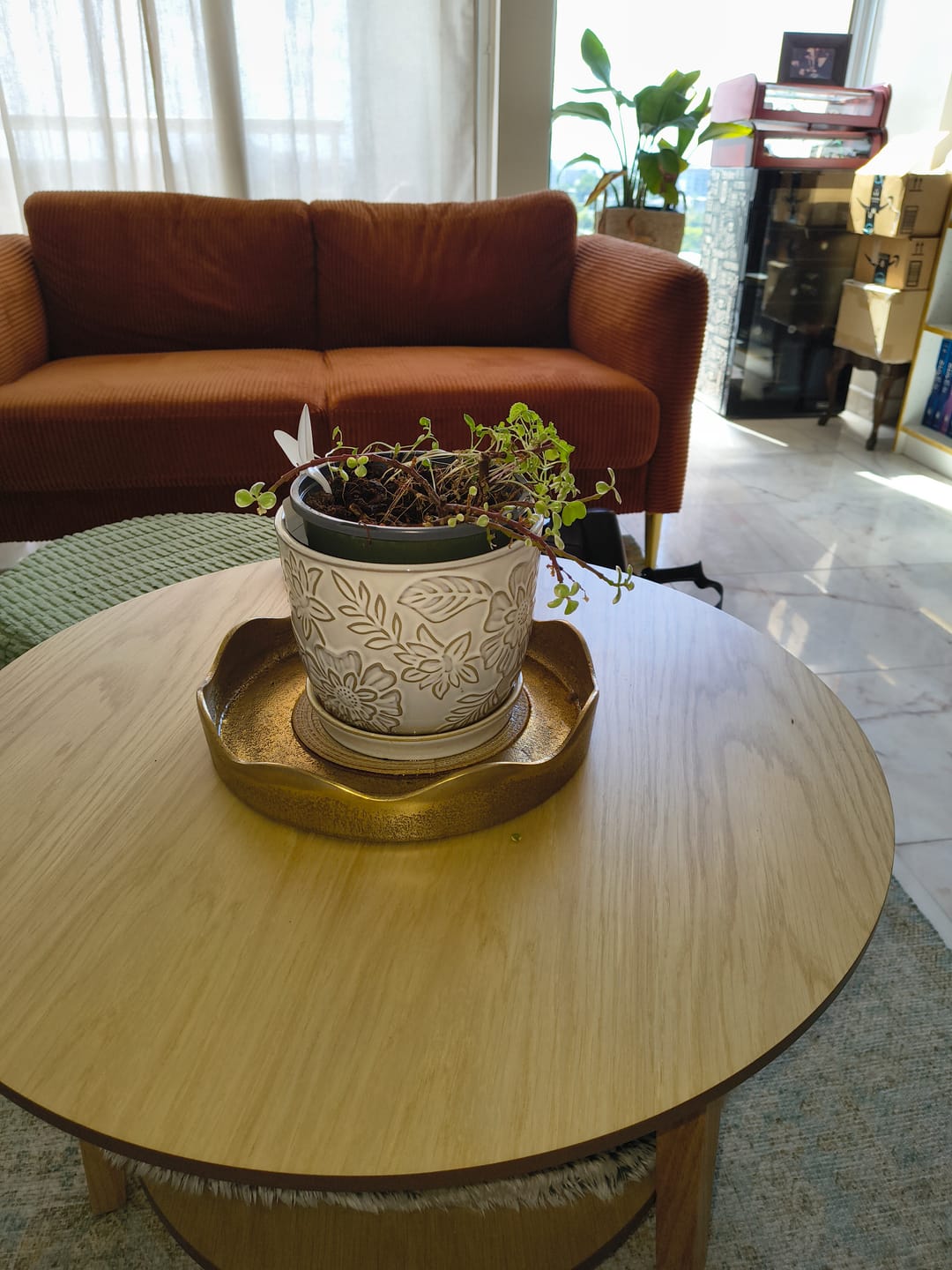 Customer photo review of Gold Iron Scalloped Tray