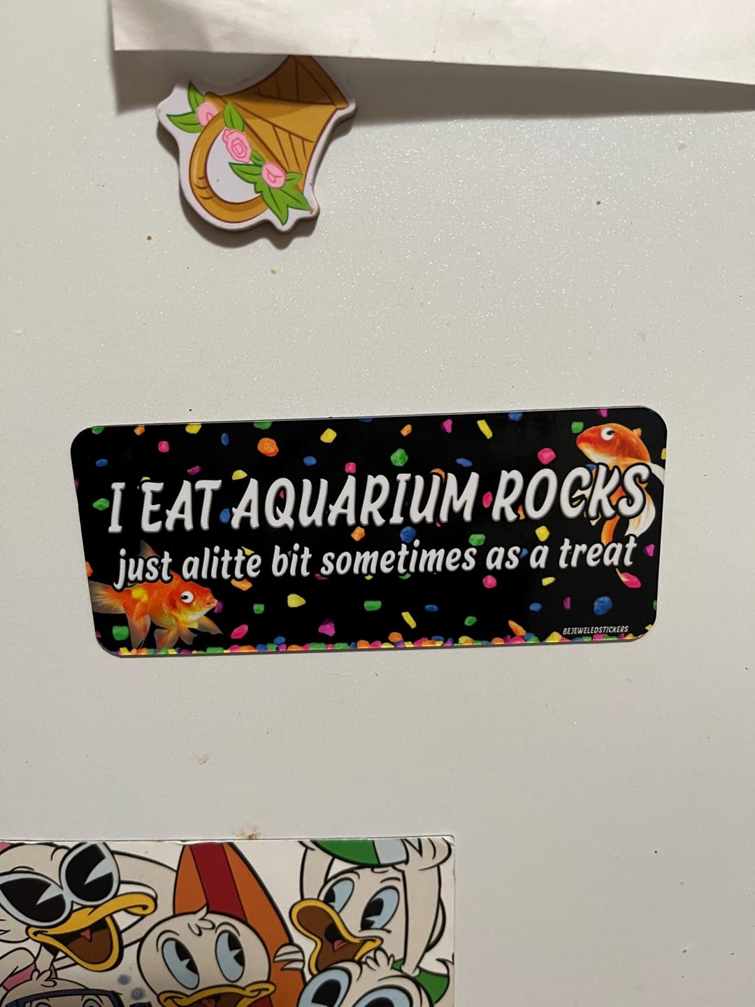 Customer photo review of I Eat Aquarium Rocks