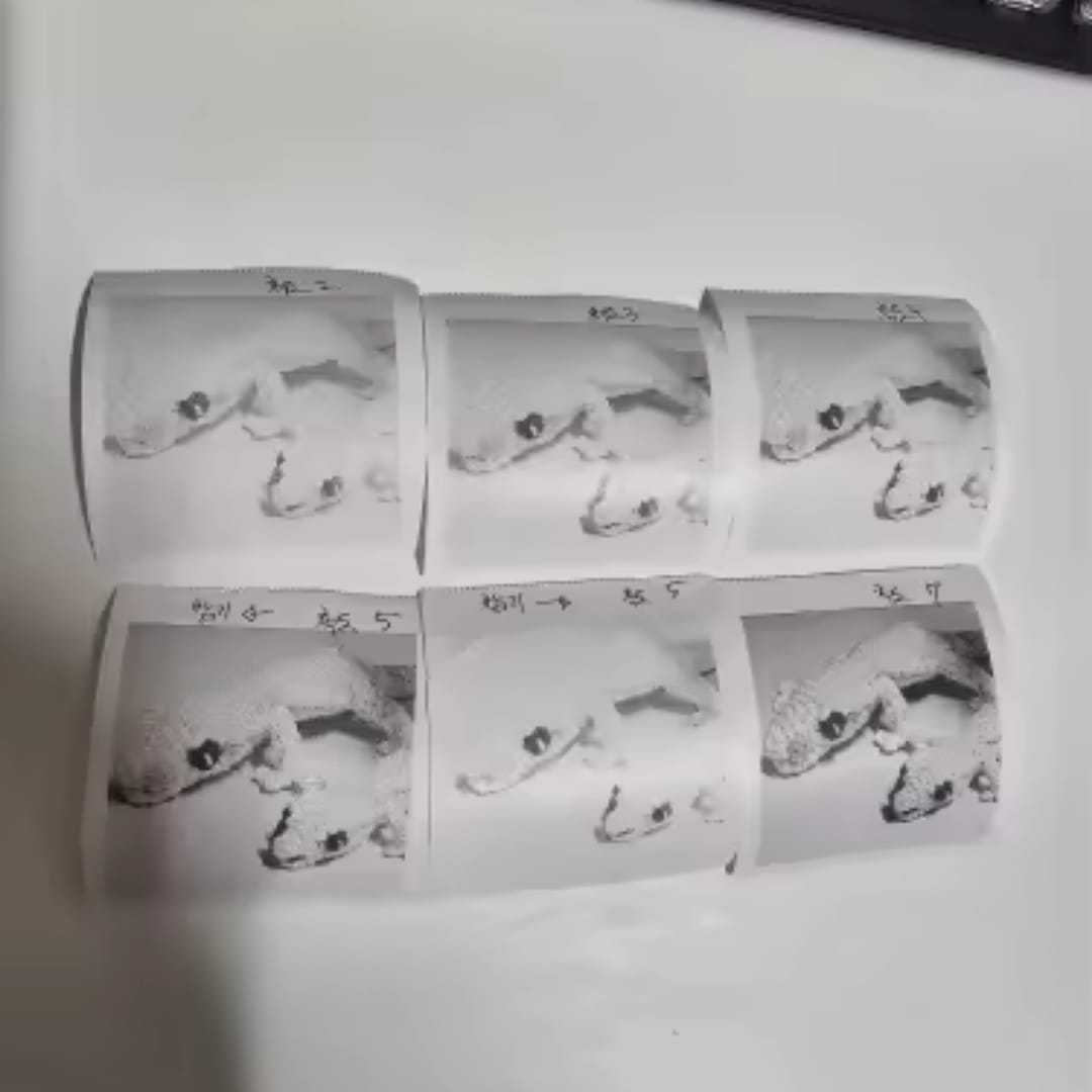 Customer photo review of Mini Impresora Térmica Bluetooth Portátil