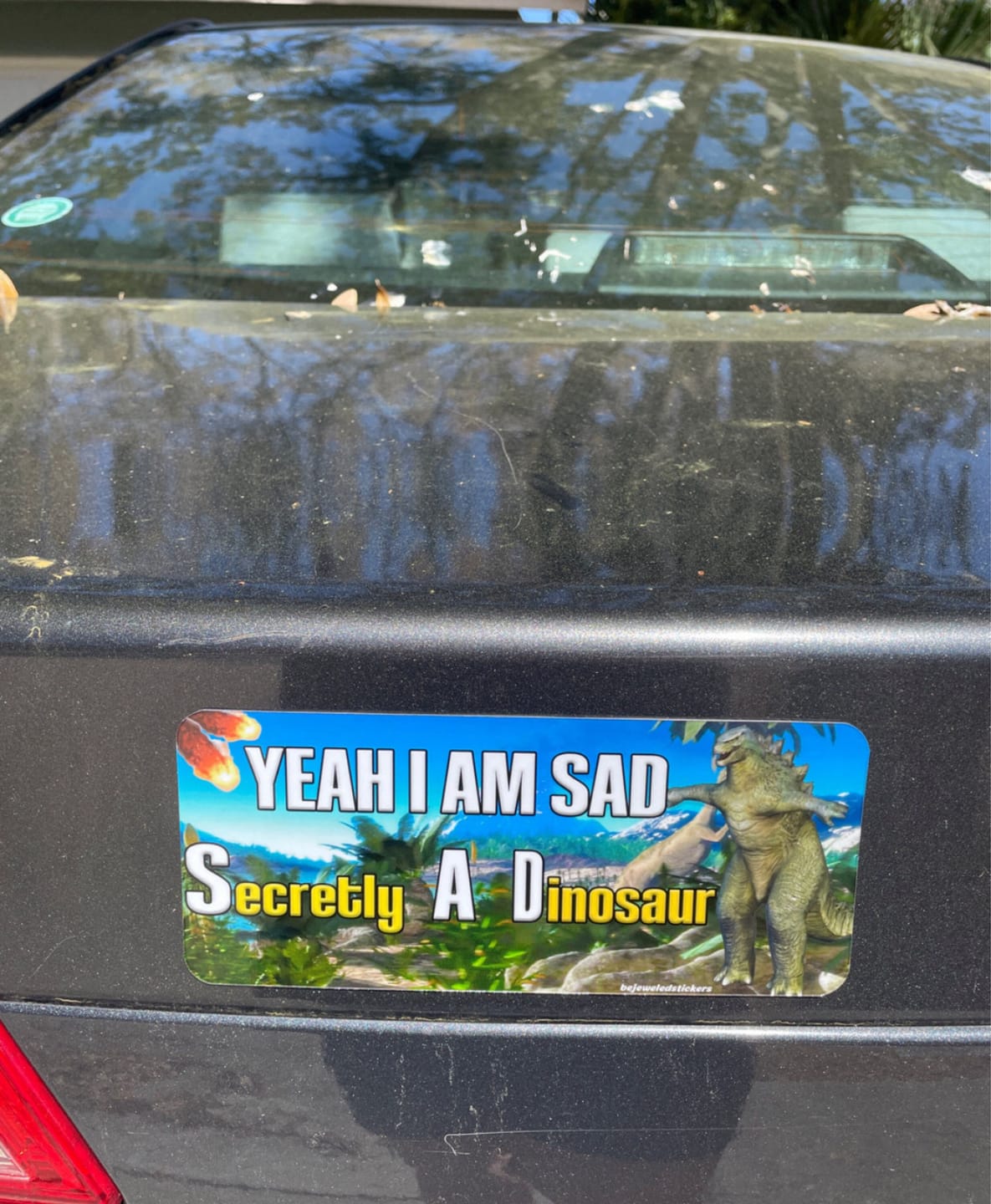 Customer photo review of Yeah I Am Sad, Secretly A Dinosaur