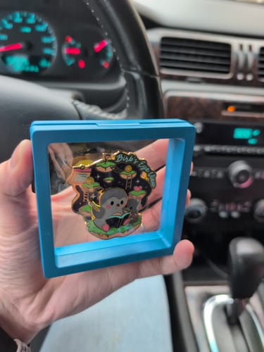 Customer's Birb's Eye View Pin inside a small, blue, square display frame held in a hand.