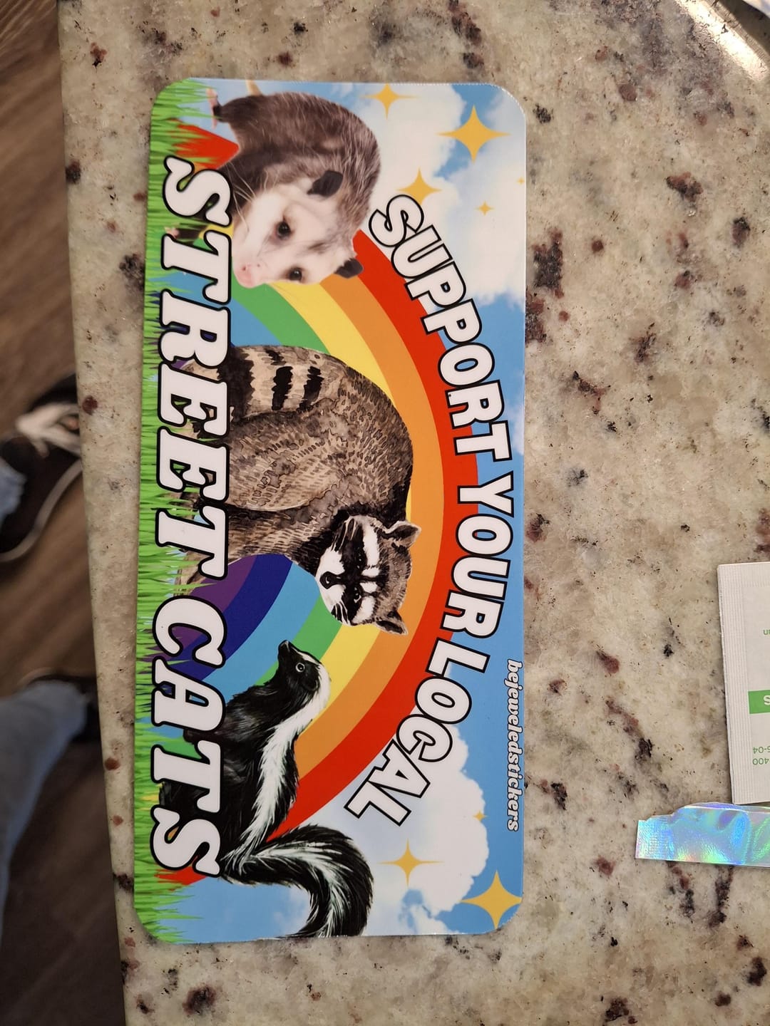 Customer photo review of Support Your Local Street Cats