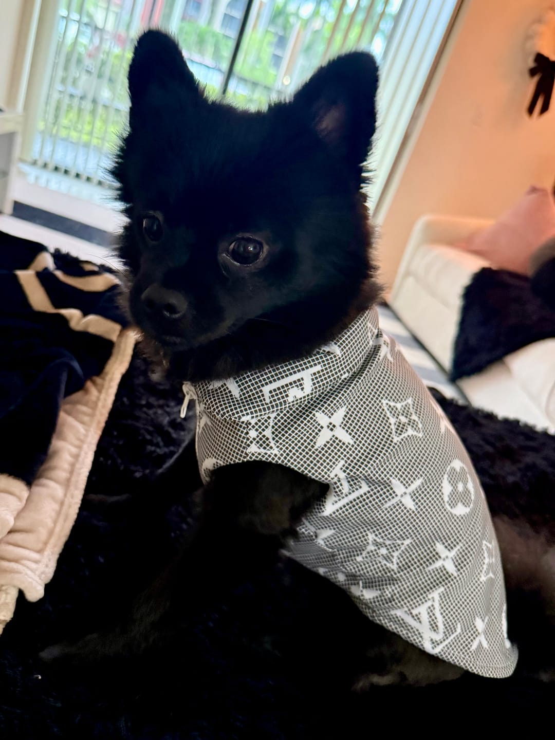 Customer photo review of 🧥 Monogram Denim Winter OG Jacket