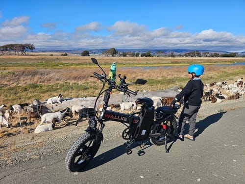 Customer photo review of Wallke H9 AWD | Foldable All-Wheel Drive Off-Road E-Bike