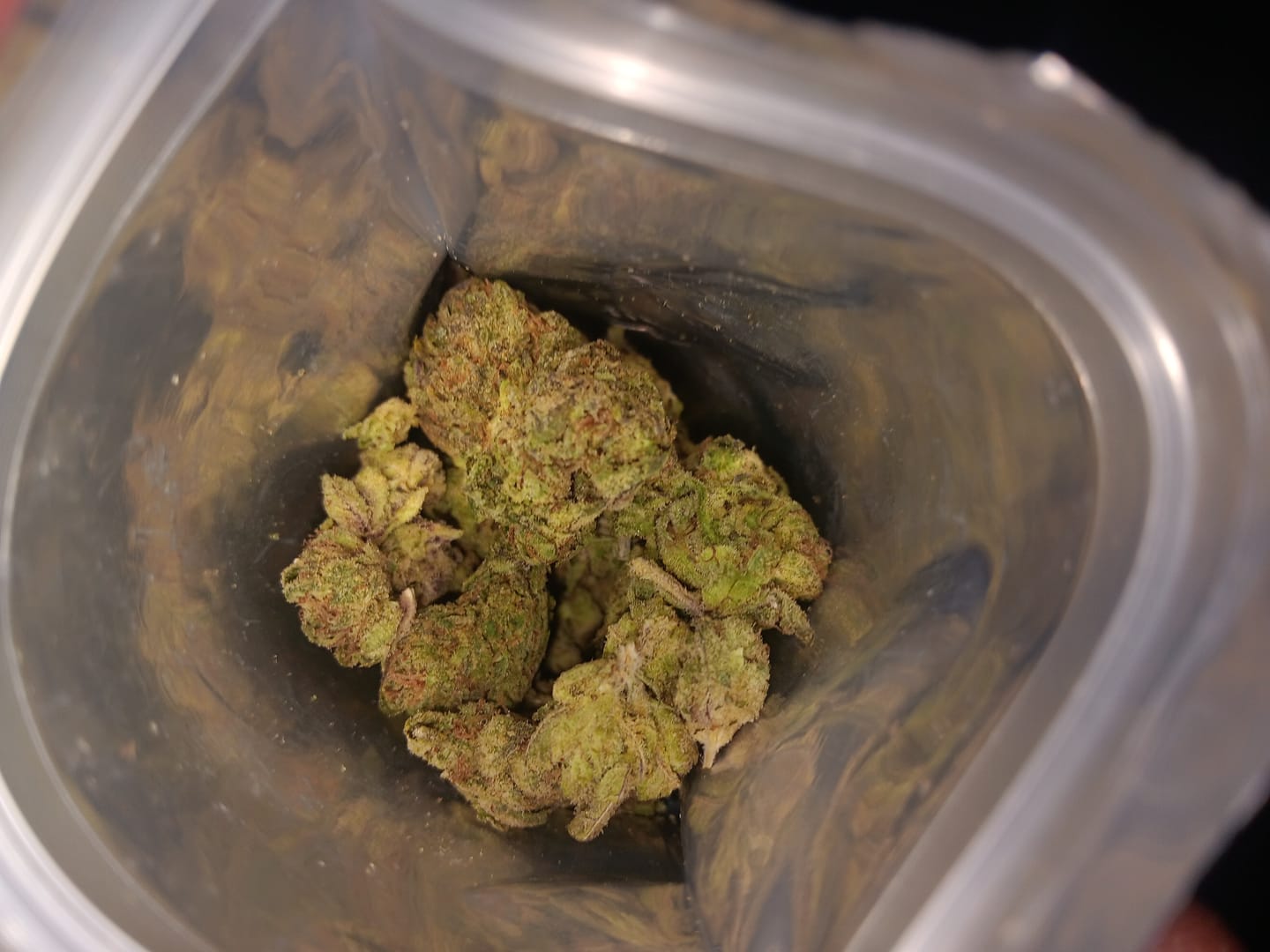 Customer photo review of Girl Scout Cookies Light Assist THCA