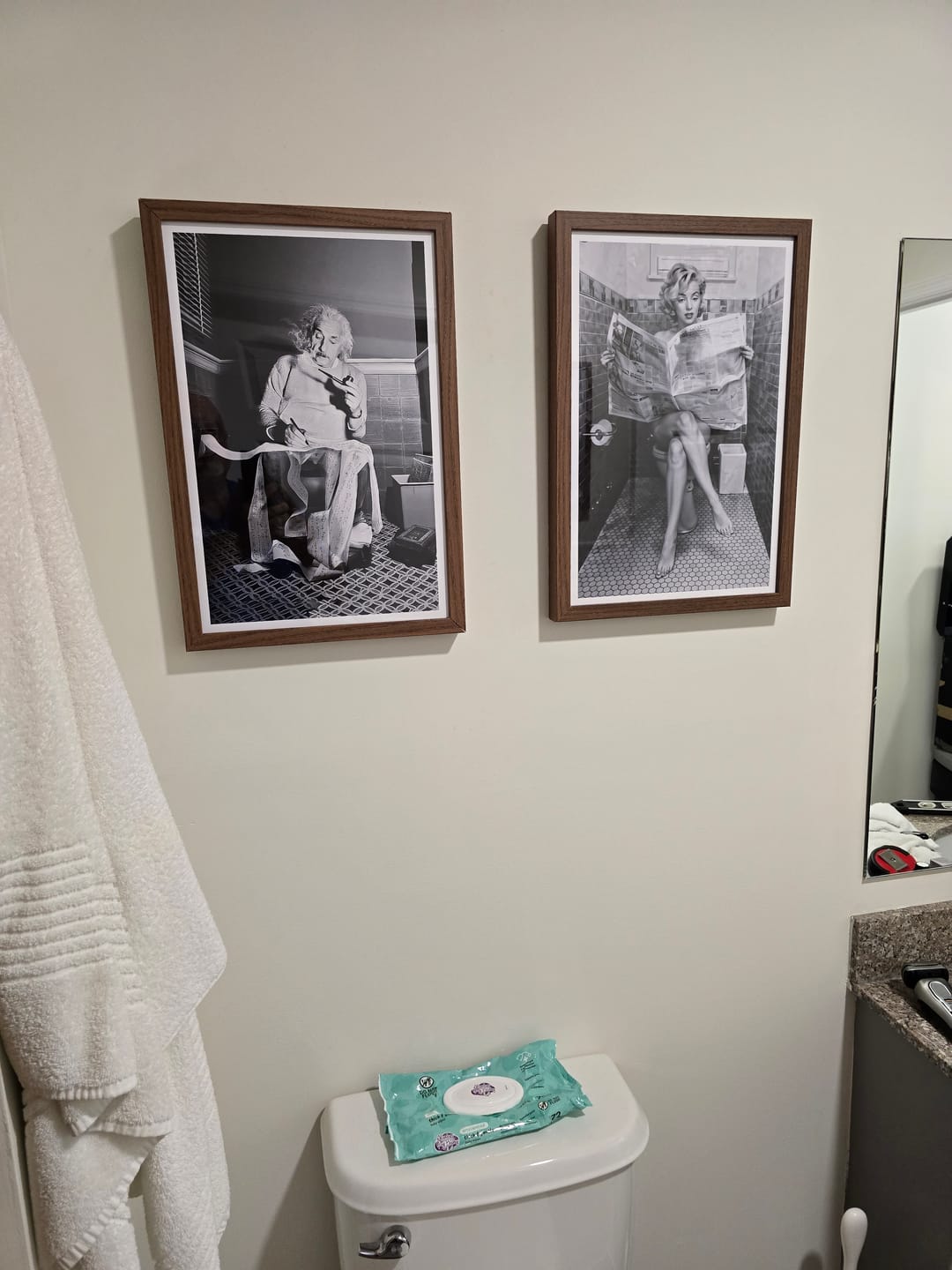 Customer photo review of Marilyn Monroe Reading Newspaper On The Toilet
