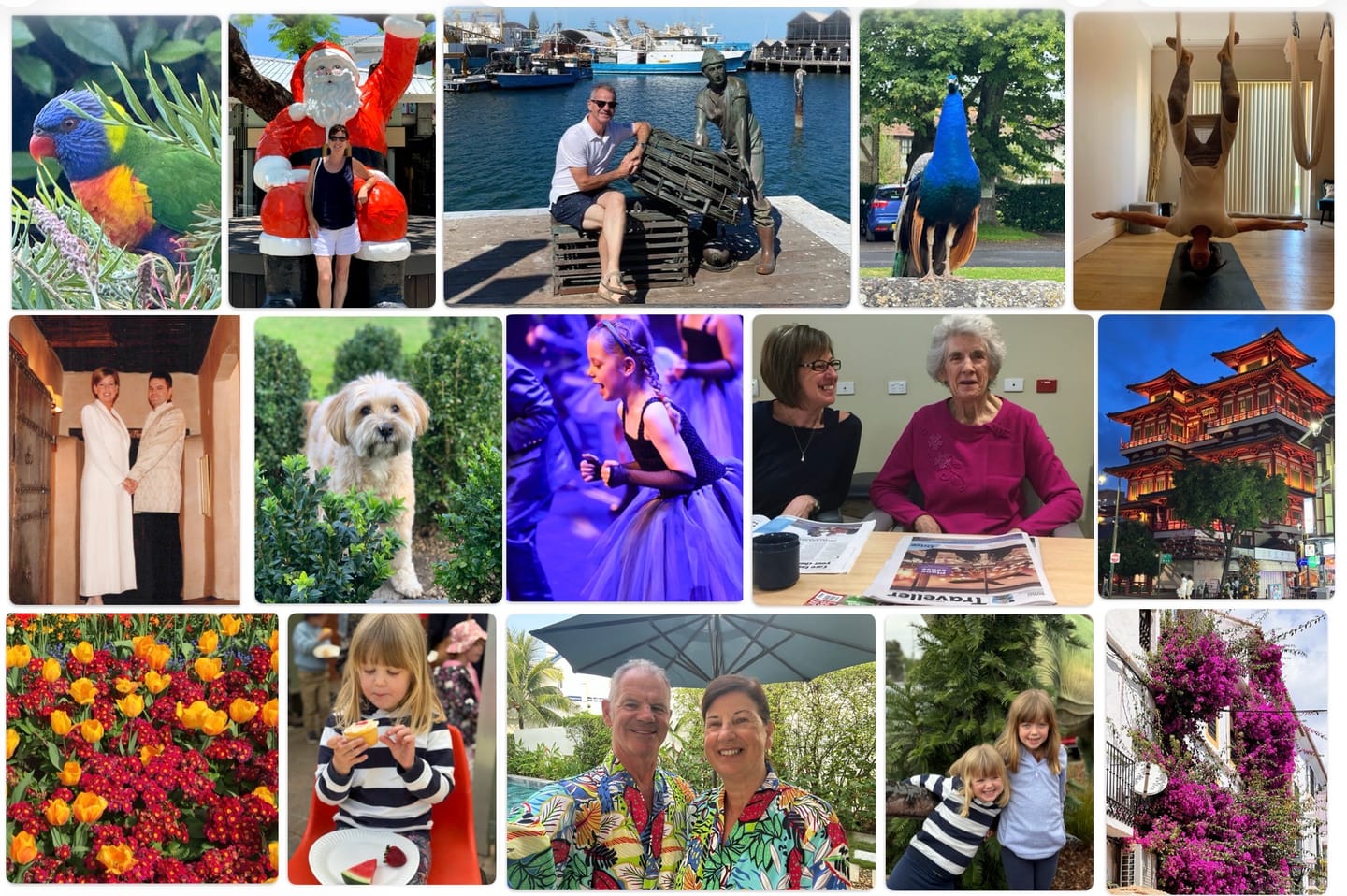 Customer photo review of Turn Your Favorite Photo Into a Custom Puzzle