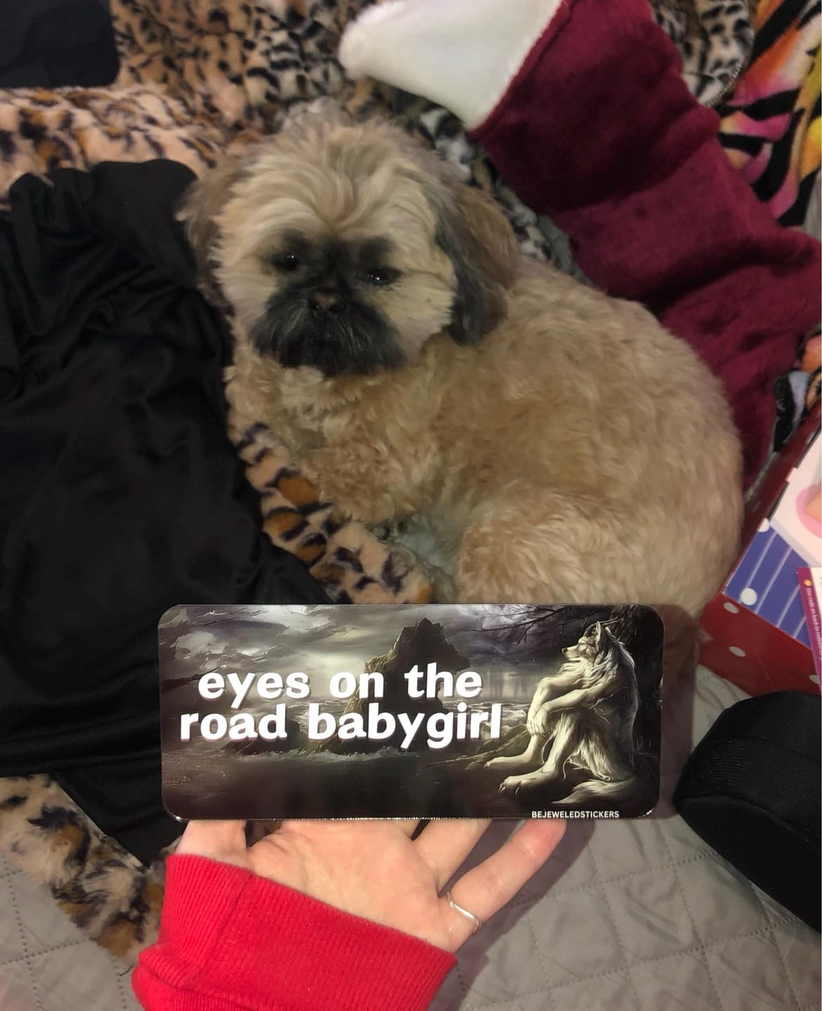 Customer photo review of eyes on the road baby girl / slow down sugar im diabetic /  customizable text
