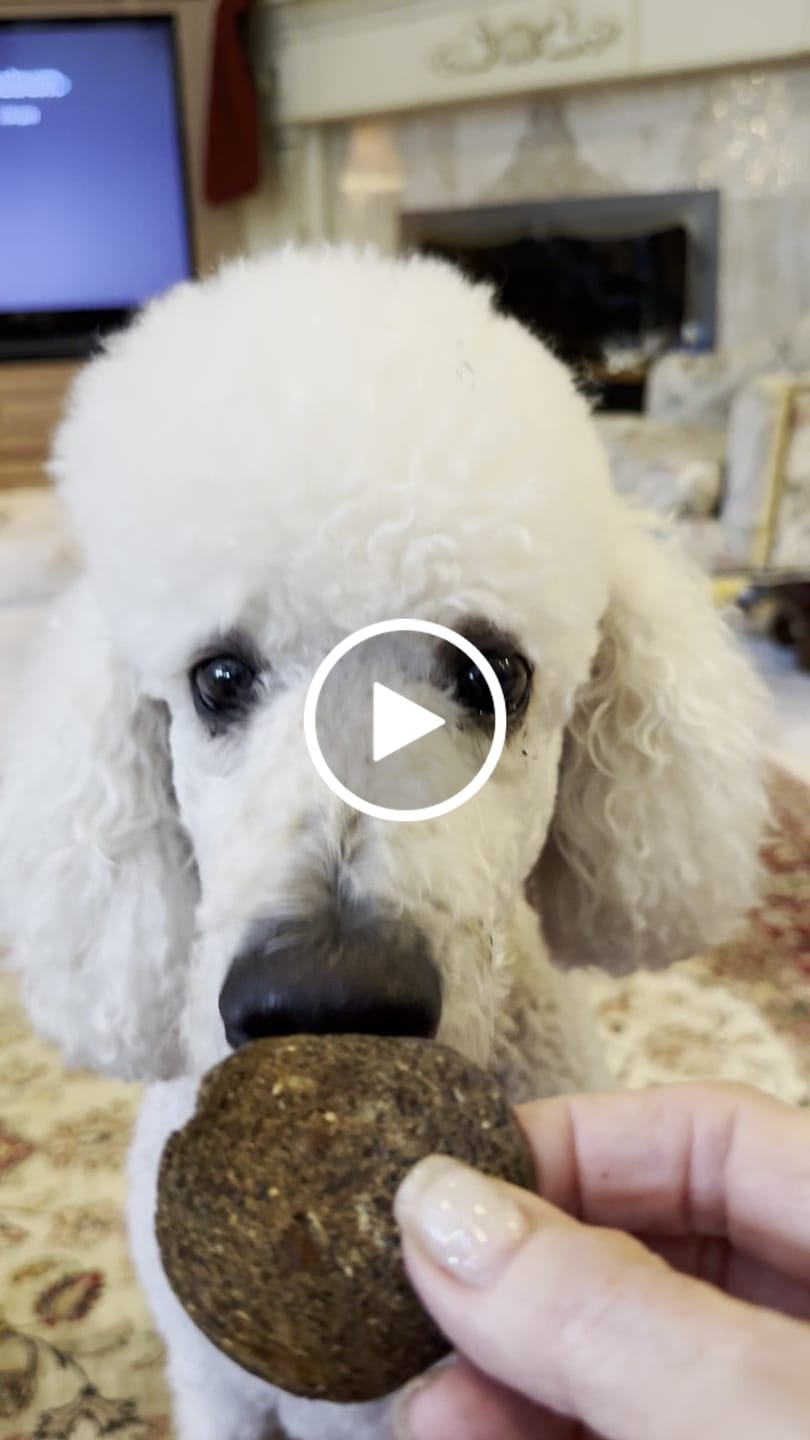 Customer video review of Mystery Gift