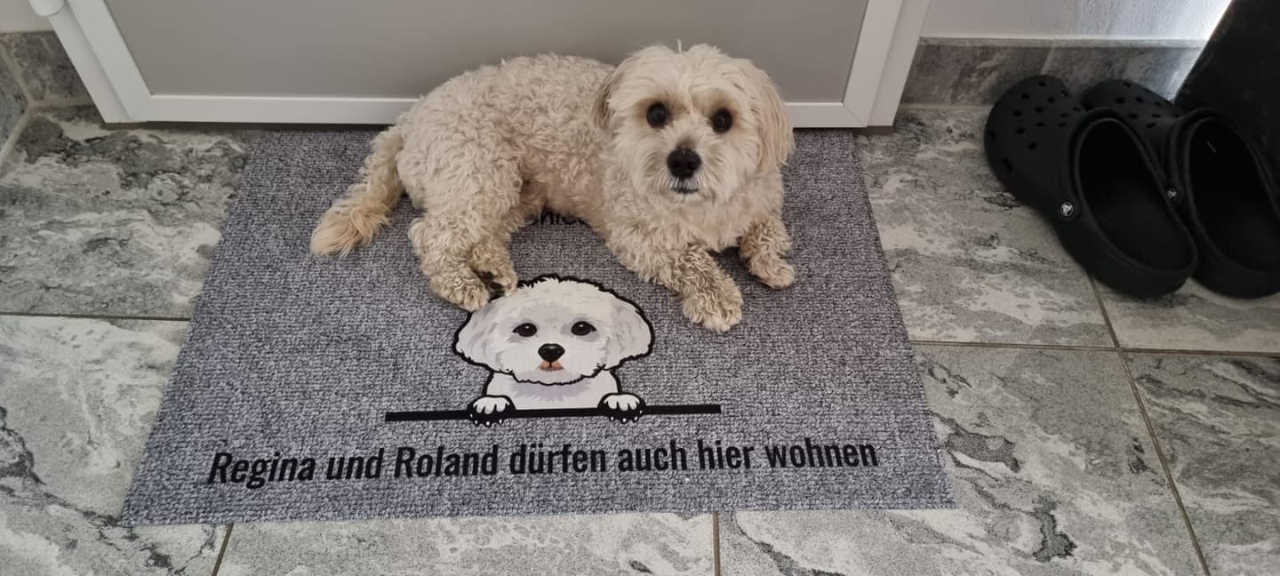 Customer photo review of Personalisierte Fußmatte - Alle meine Fellnasen mit Hund