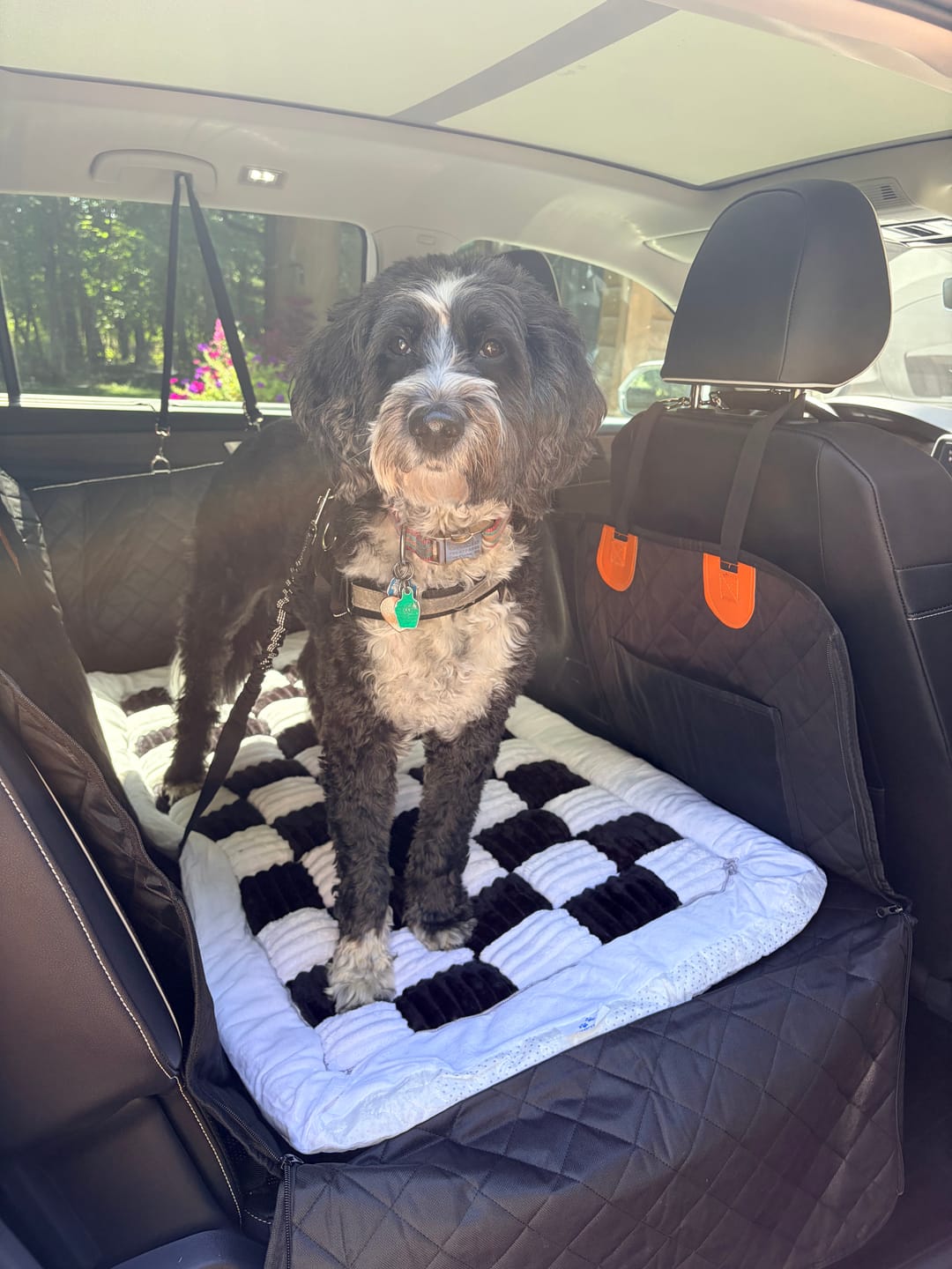 Customer photo review of CozyRider™ 2.0