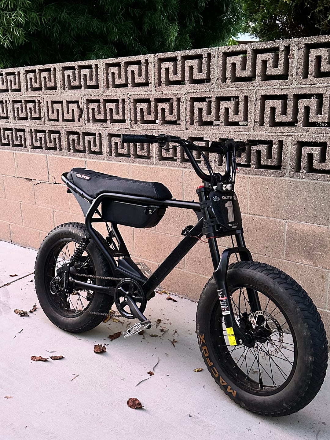 Customer photo review of Macfox X1S Commuter E-bike