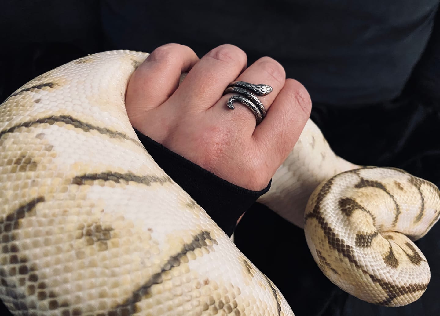 Customer photo review of SNAKE.