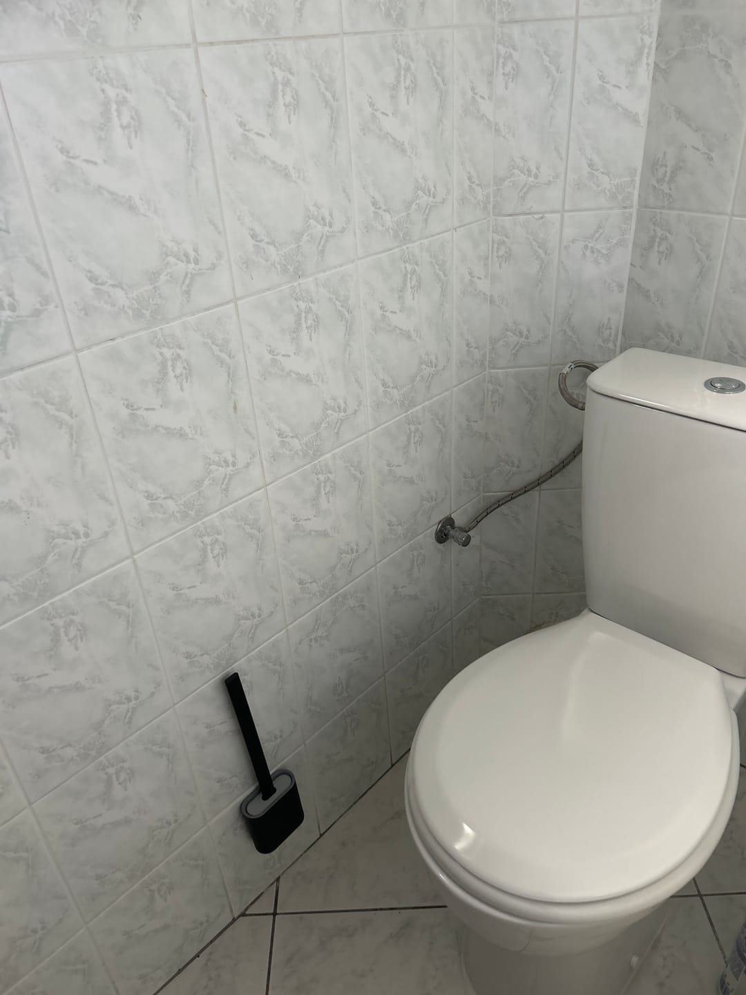 Customer photo review of Brosse de Toilette Performante et Hygiénique en Silicone