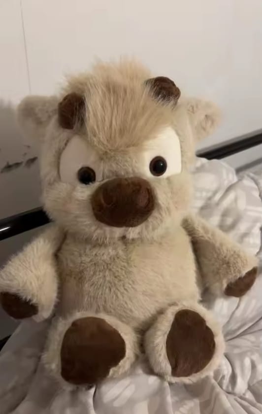 Customer photo review of Salla-Gör Hareketli Peluş - Beyaz İnek
