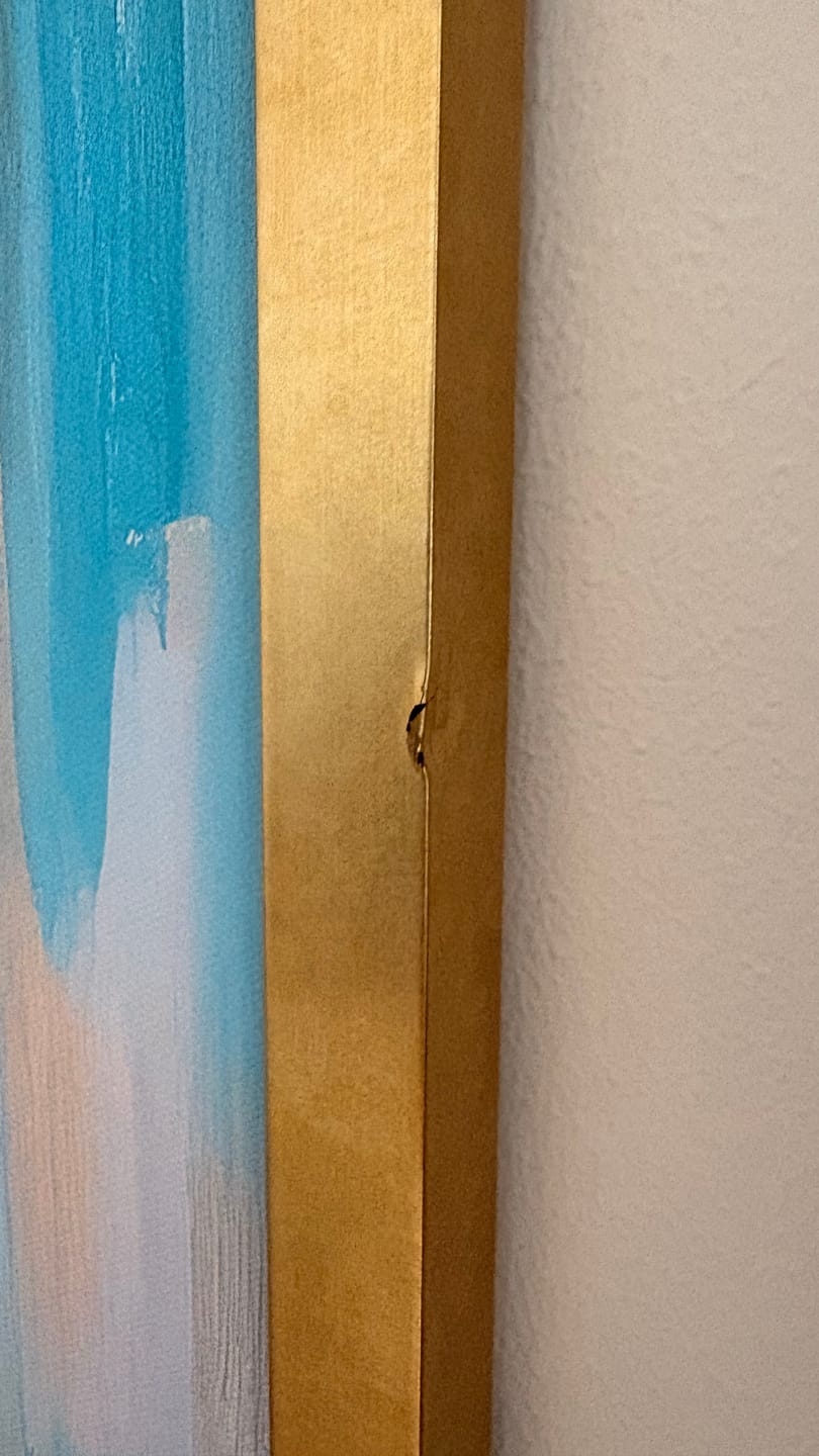 Customer photo review of Shipping Protection