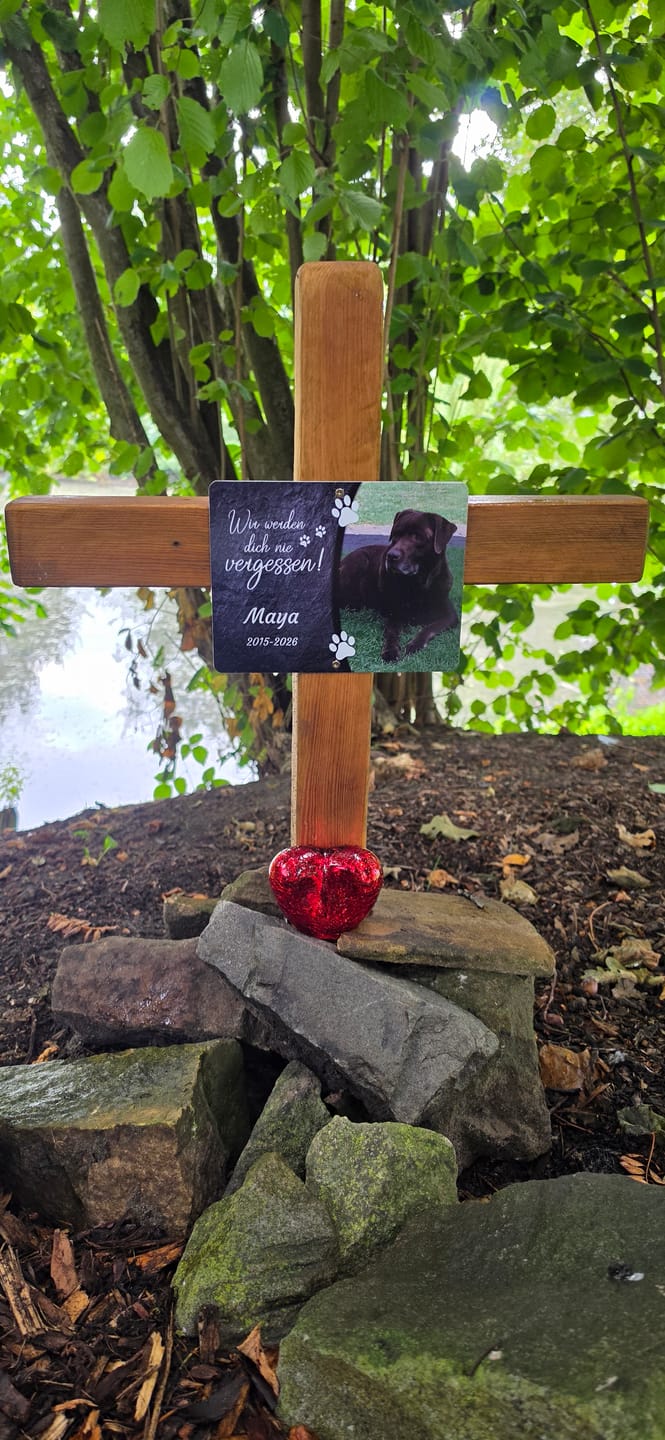 Customer photo review of Hunde Gedenktafel mit Foto & Spruch (UV- &  Wetterfest)