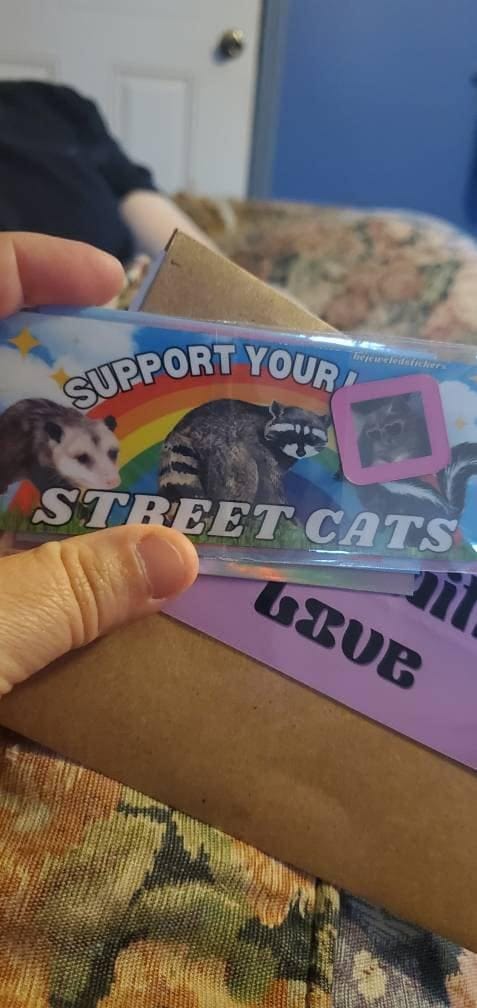 Customer photo review of Support Your Local Street Cats