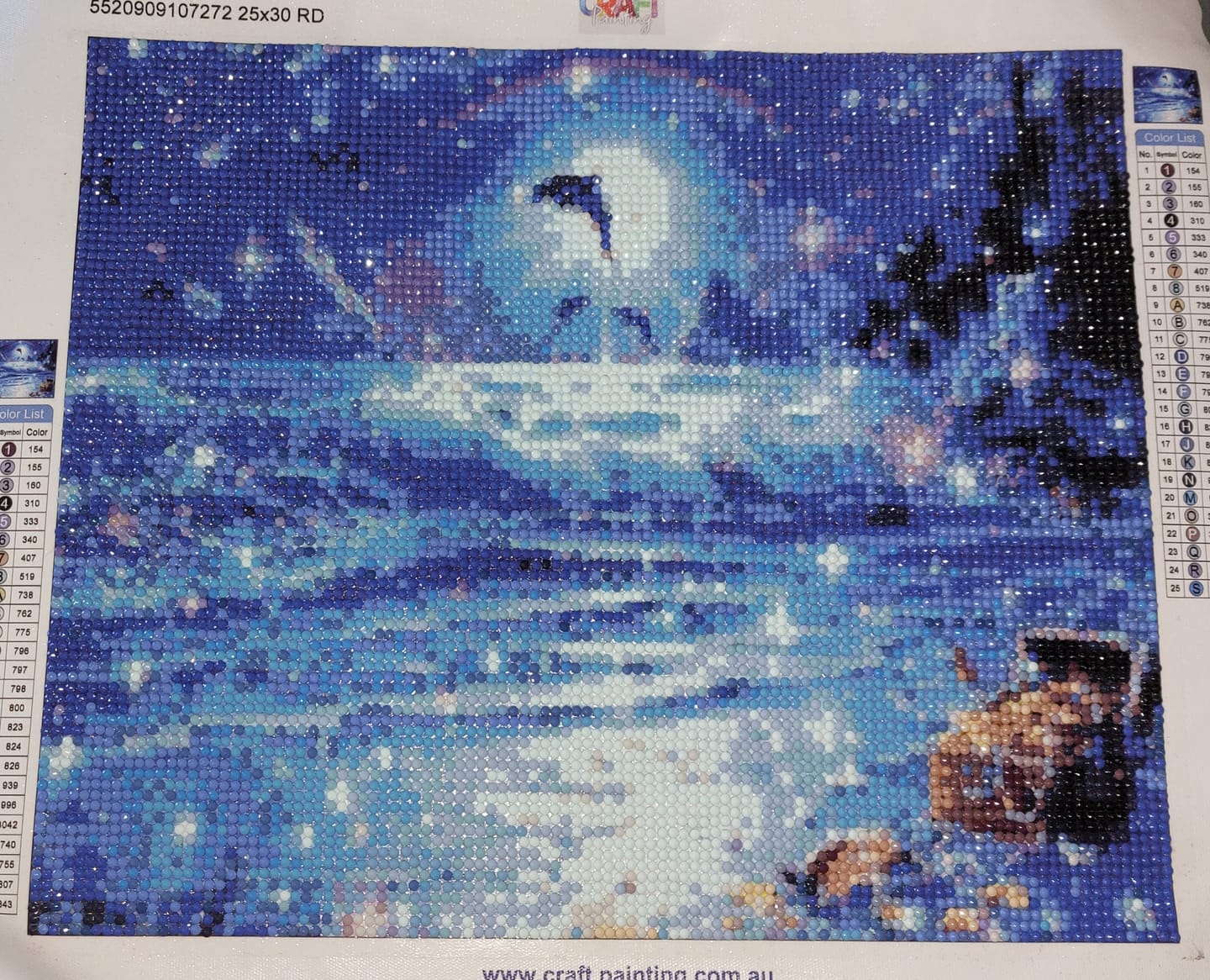 Customer photo review of Full Drill - 5D DIY Diamond Painting Kits Dream Moon Leaping Dolphins