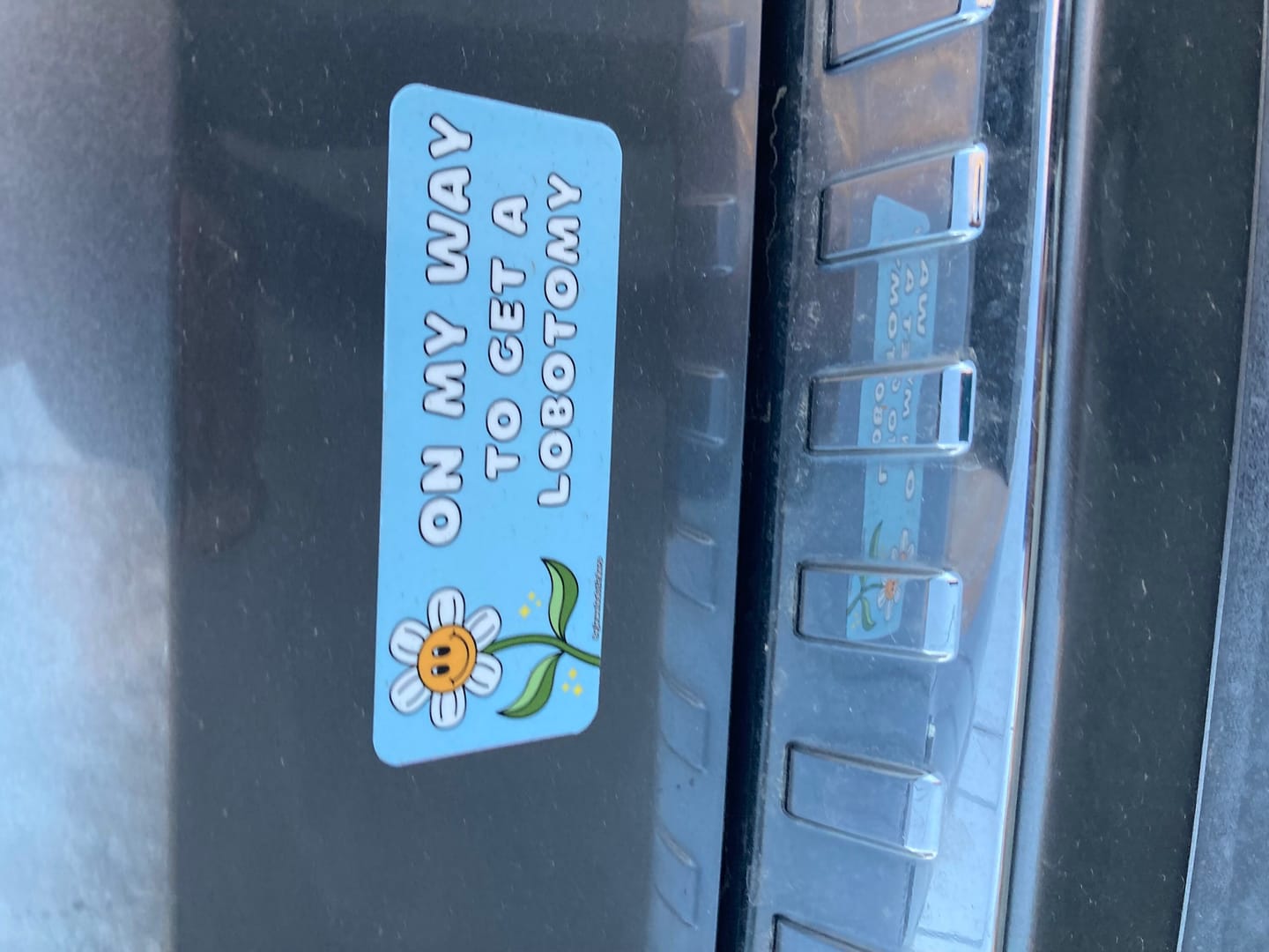Customer photo review of On My Way To Get A Lobotomy