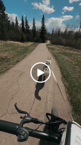 Customer photo review of Wallke H9 AWD | Foldable All-Wheel Drive Off-Road E-Bike