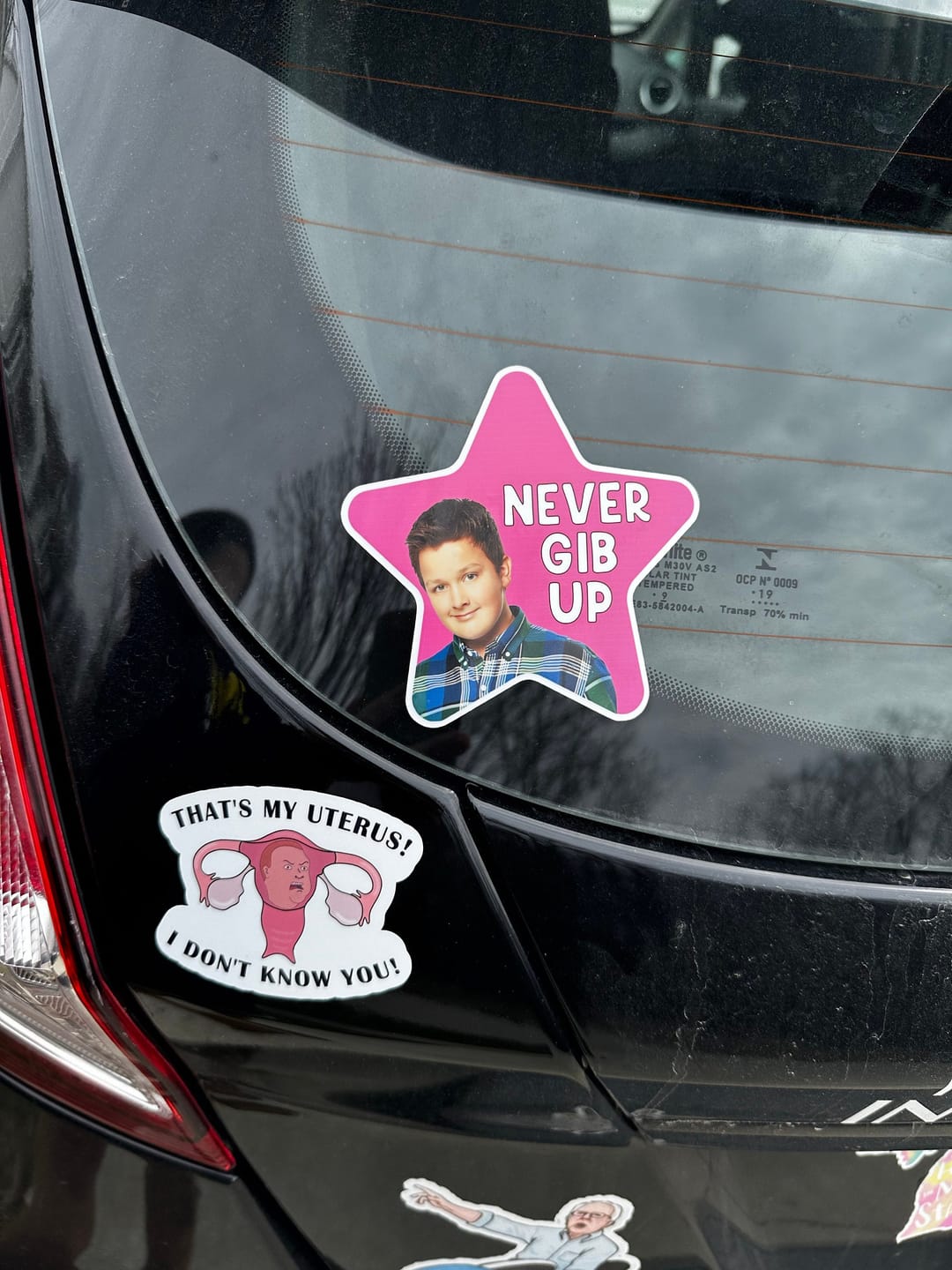 Customer photo review of Never Gib Up