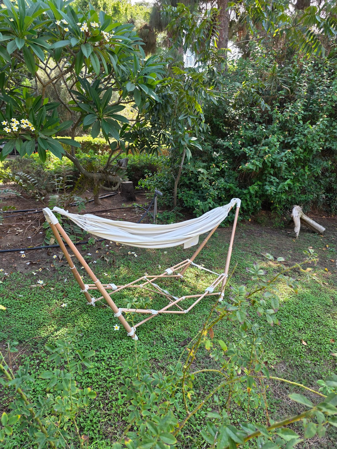 Customer photo review of The Go Hammock