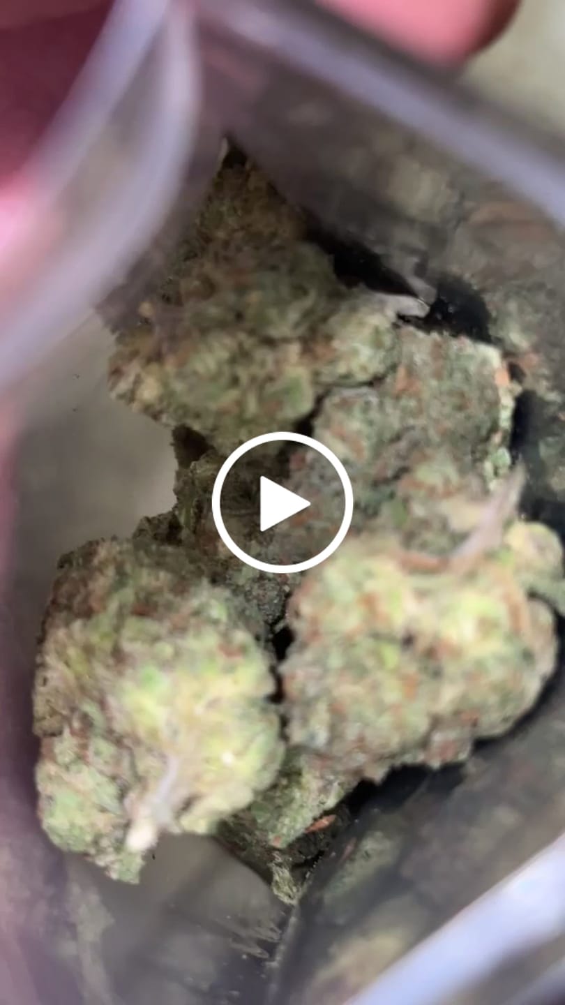 Customer video review of Purple Punch (Indoor Smalls) - THCA Flower