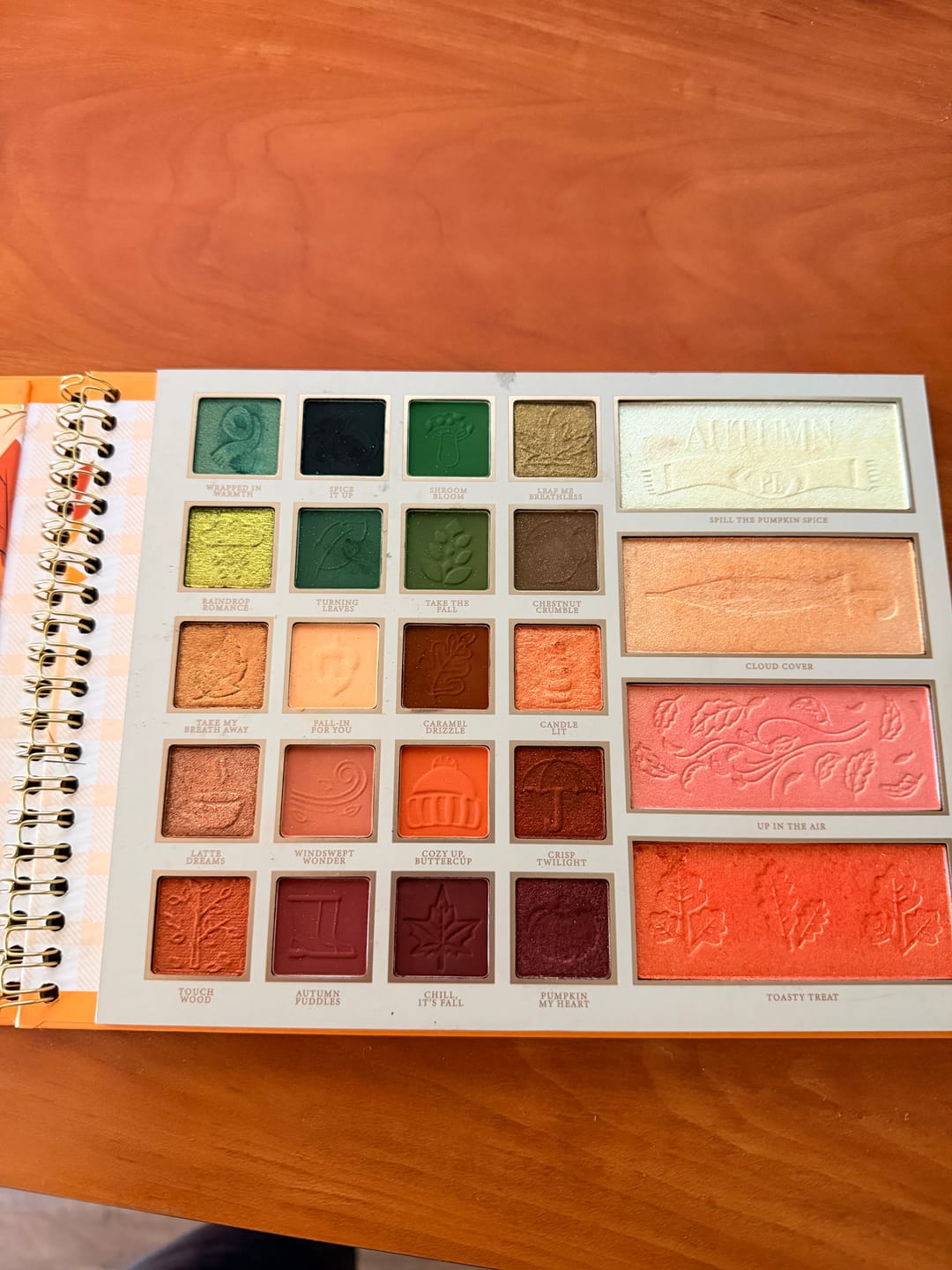 Customer photo review of My Forever Fall Palette