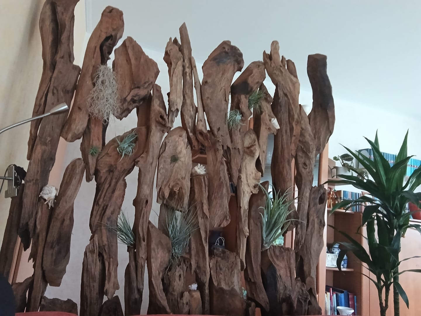 Customer photo review of BELMIRO Design Holz Raumteiler Breite +-130 cm
