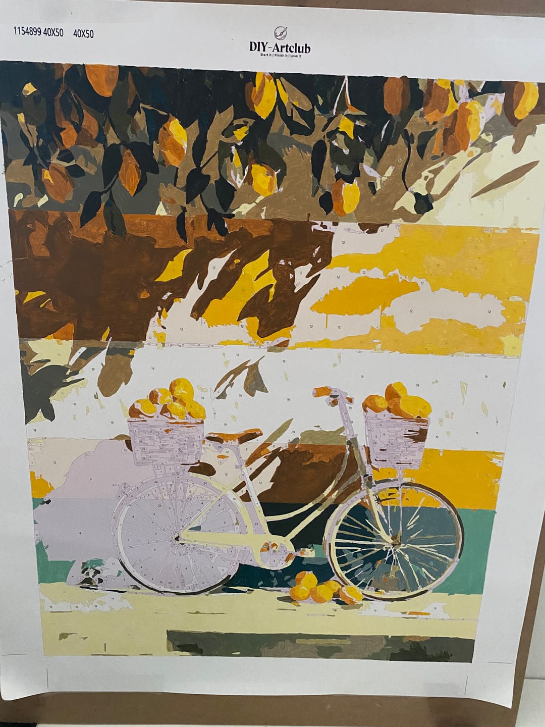 Customer photo review of Summer Ride | Paint by Number
