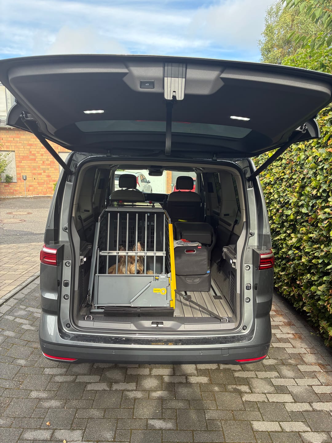 Customer photo review of VW T7 Multivan + California Nutenstein Fitting M8 Befestigung Schienensystem