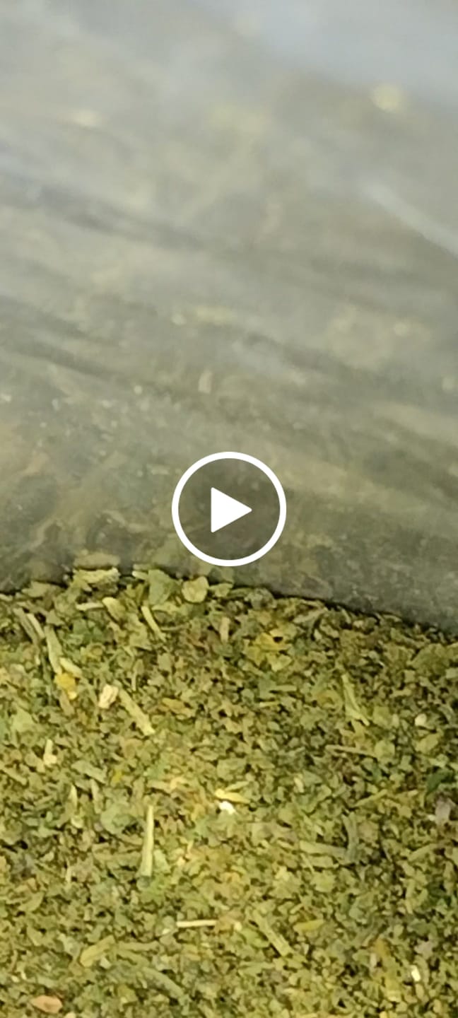Customer video review of Candy Gas Shake