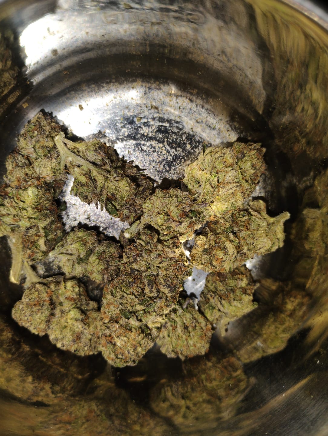 Customer photo review of Gary Payton - Hybrid