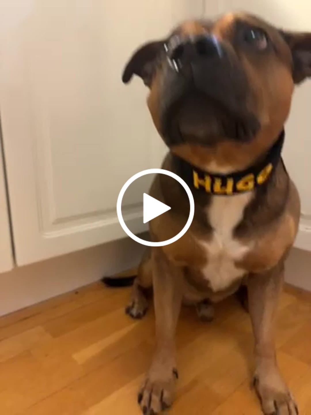 Customer video review of Extreme Buckle med namn