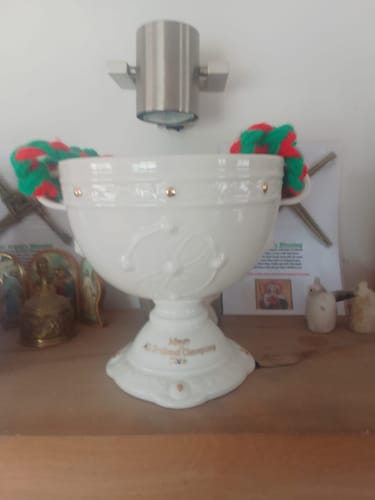 Customer photo review of Belleek Classic Ardagh Trophy - Mayo 2026