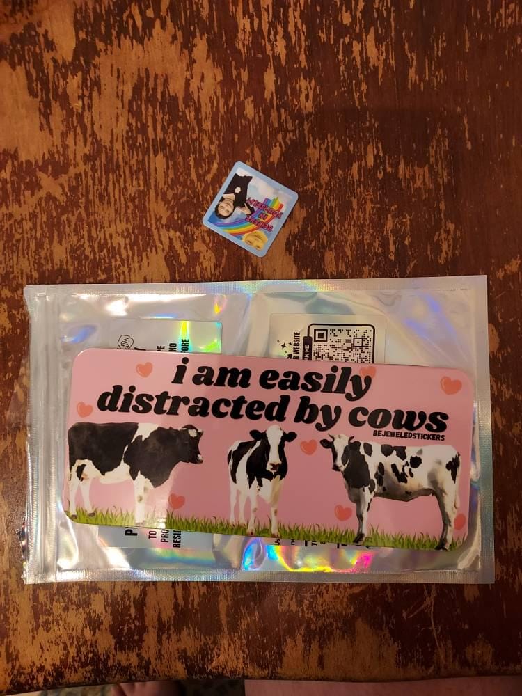 Customer photo review of I am easily distracted by cows