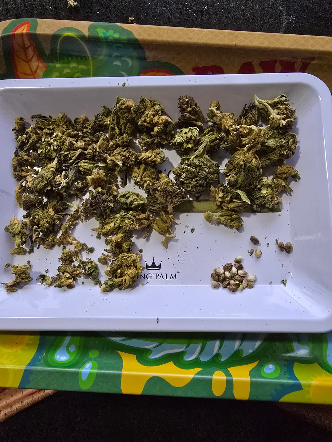 Customer photo review of Gorilla Glue THCA Flower