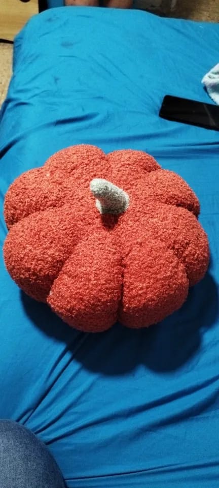 Customer photo review of Plush Seat Cushion Cute Pumpkin Throw Pillow Super Soft Waist Sofa Window Halloween Ornament
