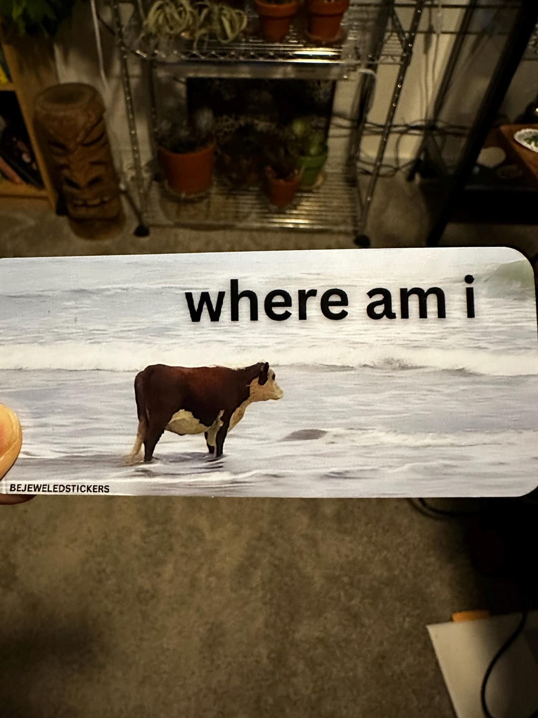 Customer photo review of i may be stupid / where am i / customizable text