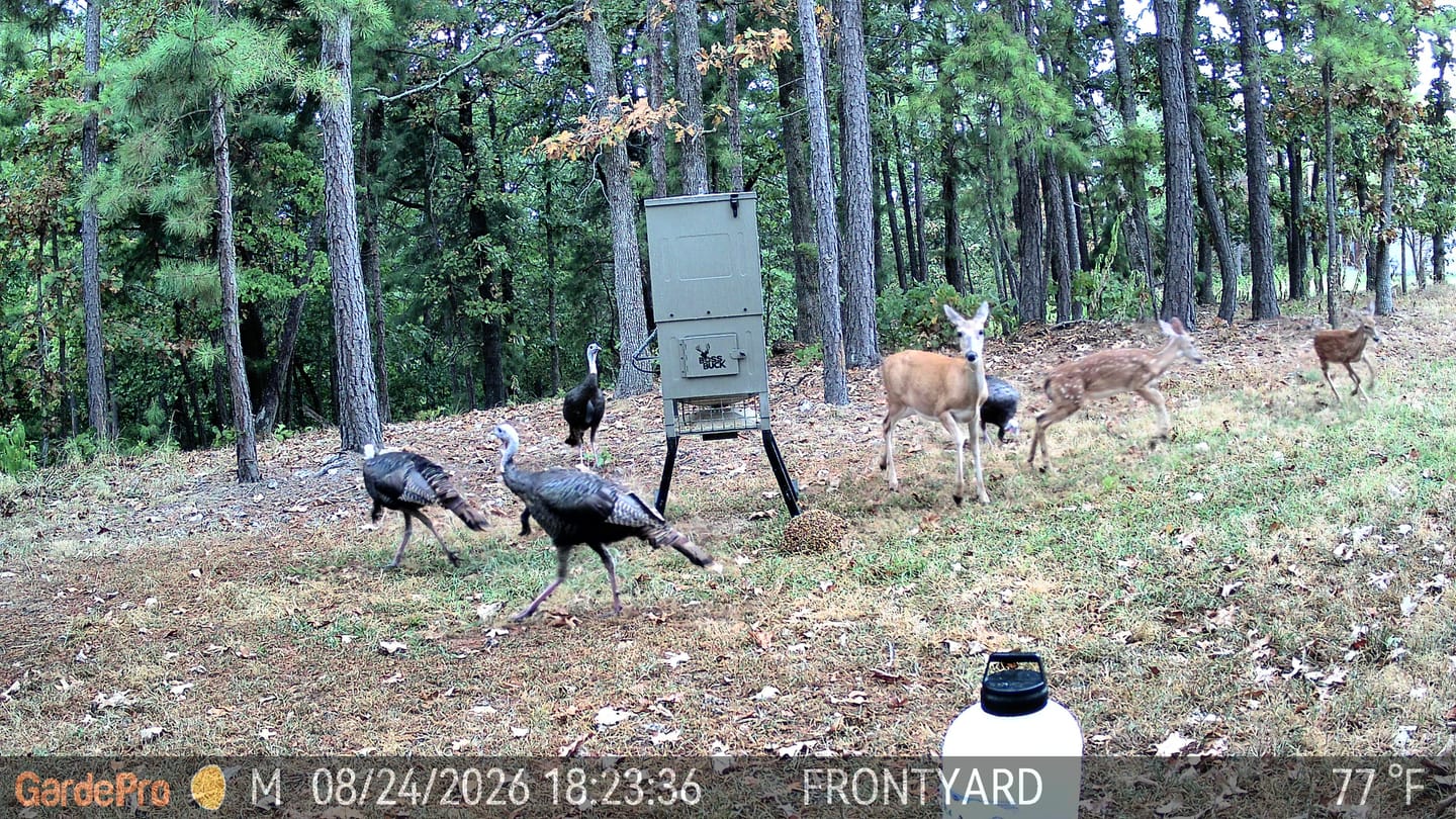 Customer photo review of GardePro Link 1.0 3000ft(1km) Long-Range Wireless Trail Camera
