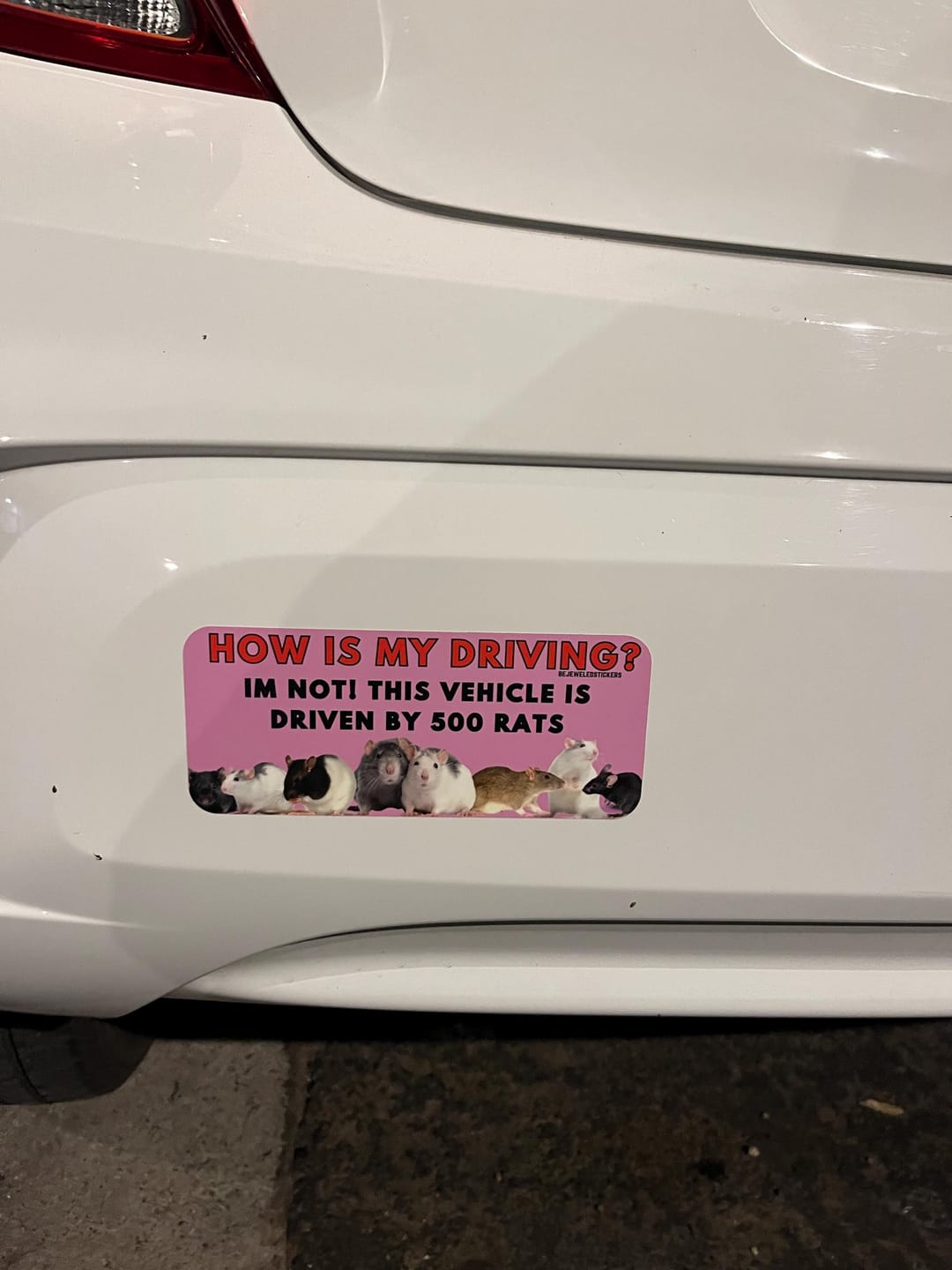 Customer photo review of 500 Rats