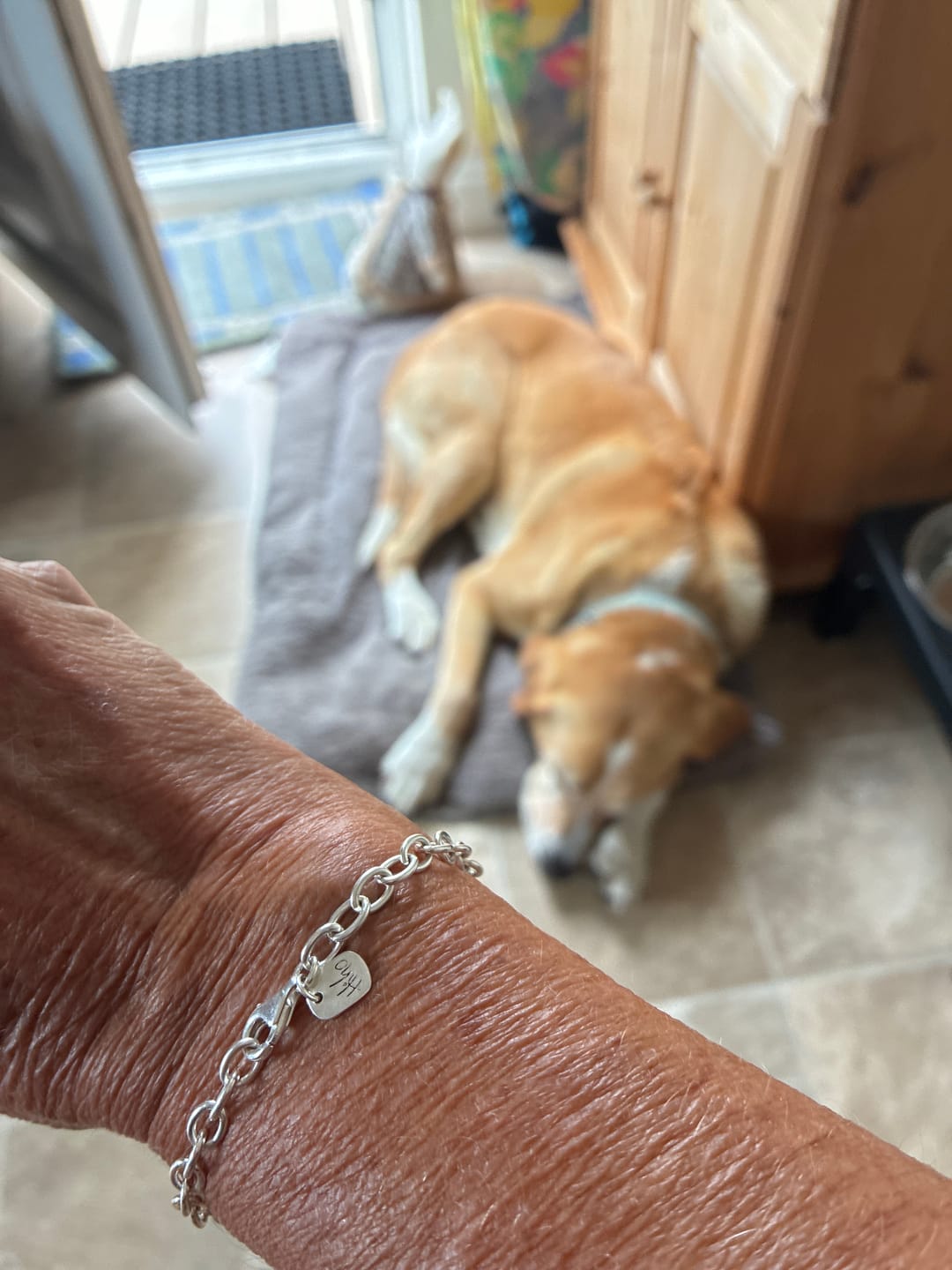 Customer photo review of Sterling Silver Oval Linked Fob Bracelet