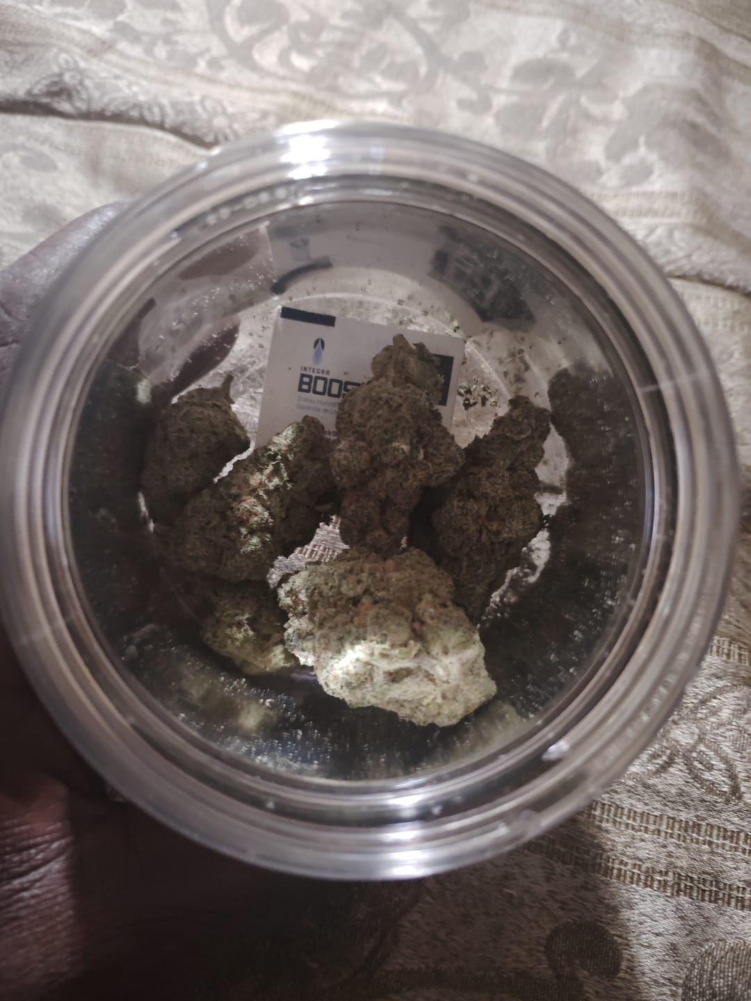 Customer photo review of Purple Haze