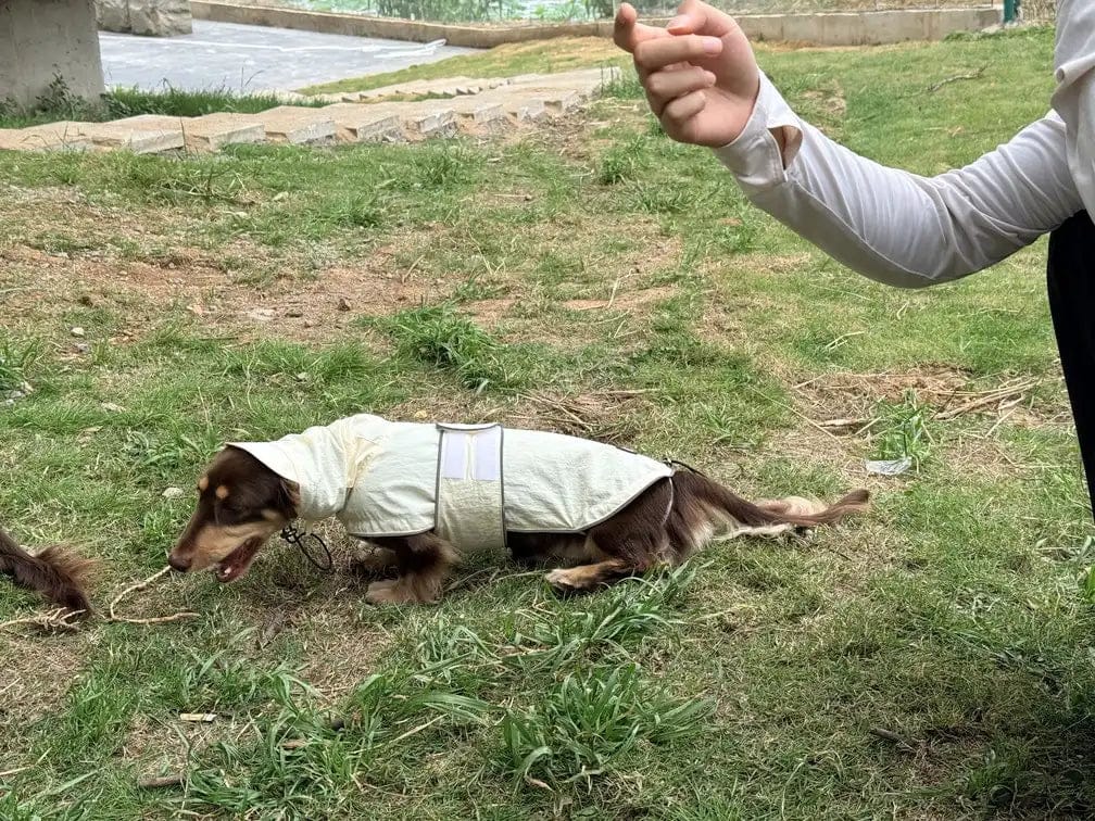 Customer photo review of Waterproof Raincoat