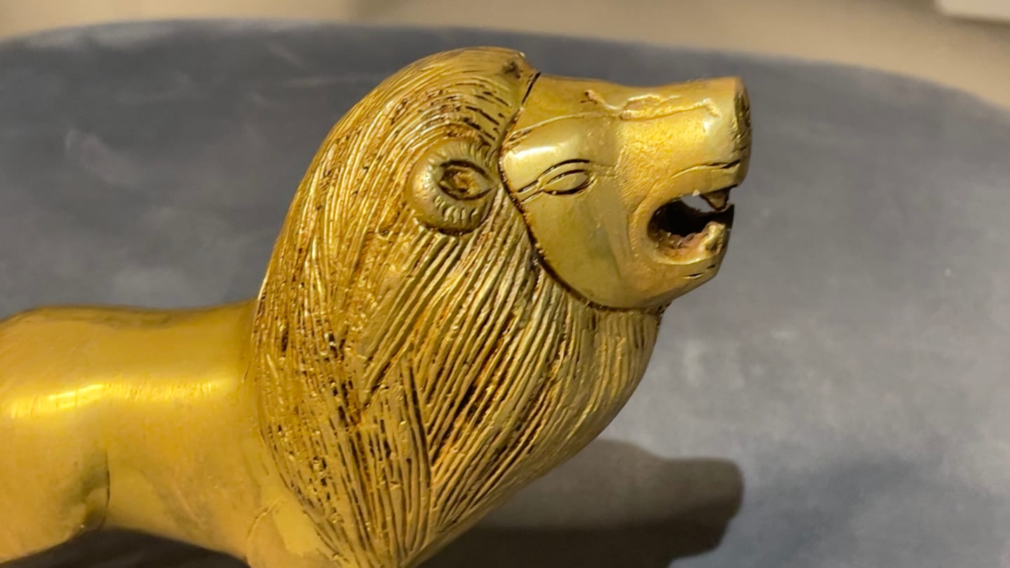 Customer photo review of Handcrafted Solid Brass Lion Vastu Idol | Vastu Remedy for South Direction Protection & Courage Energy for Main Entrances | 16×6×14 cm | 985g