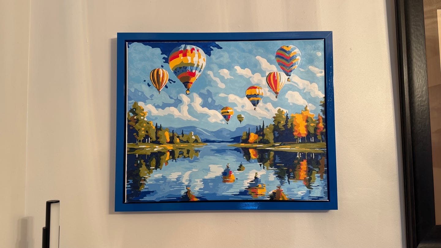 Customer photo review of Hot Air Balloon Showcase